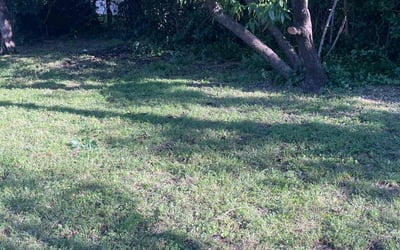 Photo of Bradley D.'s yard after getting landscaping in Allen, TX