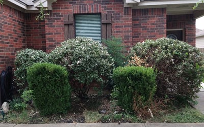 Photo of Brittany S.'s yard after getting landscaping in Rosanky, TX