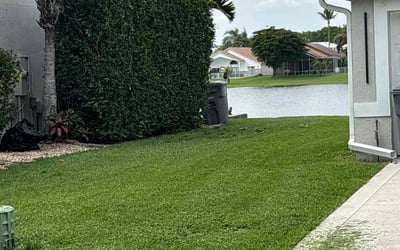 Photo of Jessica J.'s yard after getting tree care in Lake Worth, FL