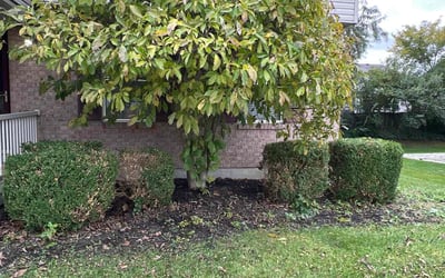 Photo of Nicole J.'s yard after getting landscaping in Walton, KY