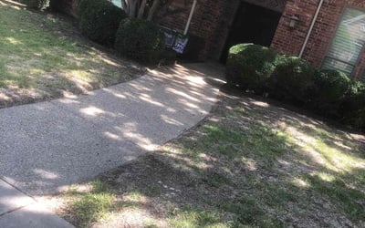 Photo of Matt J.'s yard after getting landscaping in Westminster, TX