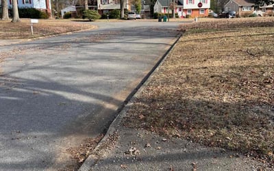 Photo of Mary R.'s yard after getting landscaping in Ruther Glen, VA
