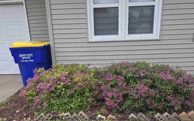 Photo of Geneva Y.'s yard after getting lawn care in Iowa City, IA