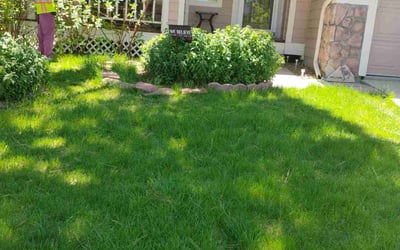 Photo of Jared C.'s yard after getting landscaping in Alma, CO