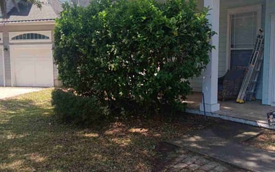 Photo of Lisa S.'s yard after getting tree care in Macclenny, FL