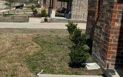 Photo of Josh G.'s yard after getting landscaping in Copeville, TX
