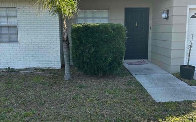 Photo of Jason F.'s yard after getting landscaping in New Port Richey, FL