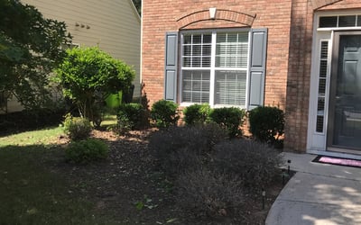 Photo of Jason W.'s yard after getting landscaping in Warm Springs, GA