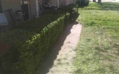 Photo of Debra L.'s yard after getting landscaping in Wellston, OK