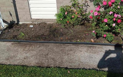 Photo of Shelita C.'s yard after getting tree care in Kenner, LA