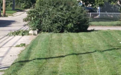Photo of Denise G.'s yard after getting landscaping in Hubertus, WI