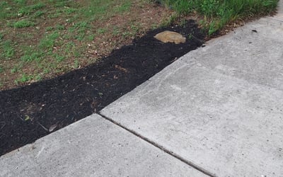 Photo of April F.'s yard after getting landscaping in Marion, TX