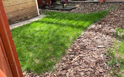 Photo of Emmett W.'s yard after getting landscaping in Sterling, VA