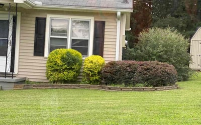 Photo of Kenya C.'s yard after getting tree care in Grayson, GA