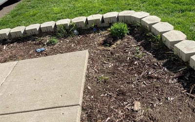 Photo of Lindsey T.'s yard after getting lawn care in Big Lake, MN