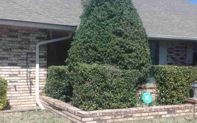 Photo of Robin C.'s yard after getting landscaping in Piedmont, OK