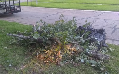 Photo of Donna S.'s yard after getting landscaping in Maurepas, LA