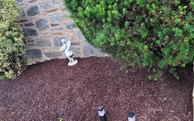 Photo of Cynthia G.'s yard after getting landscaping in Glen Mills, PA