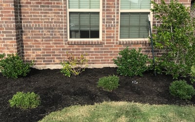 Photo of Salvador C.'s yard after getting landscaping in Lipan, TX