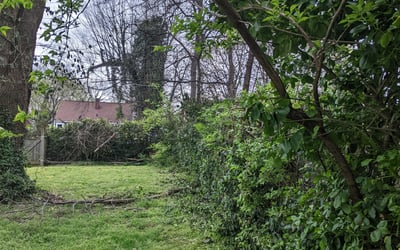 Photo of Jordan D.'s yard after getting landscaping in Old Hickory, TN