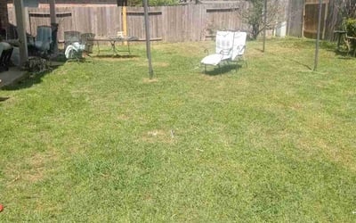 Photo of Stuart D.'s yard after getting tree care in New Caney, TX