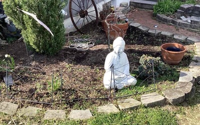 Photo of James R.'s yard after getting landscaping in Dillsboro, IN