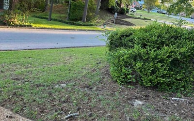 Photo of Josh F.'s yard after getting landscaping in Florence, MS