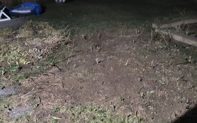 Photo of Chris B.'s yard after getting landscaping in Mound, MN