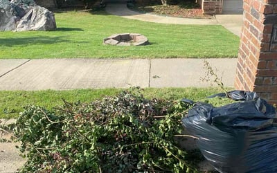 Photo of Pamela B.'s yard after getting tree care in Little Rock, AR
