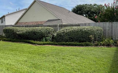Photo of Chris D.'s yard after getting landscaping in Houston, TX