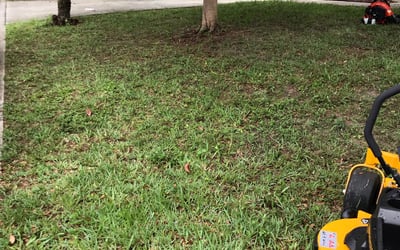 Photo of Mike J.'s yard after getting landscaping in Indian Lake Estates, FL