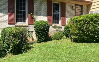 Photo of Sheri B.'s yard after getting tree care in Villa Rica, GA