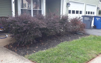 Photo of Mark O.'s yard after getting landscaping in Bluemont, VA