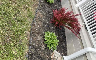 Photo of Jeffrey M.'s yard after getting landscaping in Indianapolis, IN