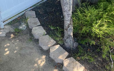 Photo of Monique A.'s yard after getting tree care in Anaheim, CA