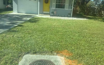 Photo of Jennifer R.'s yard after getting landscaping in Osprey, FL