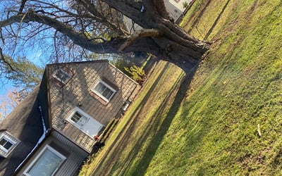 Photo of Diane G.'s yard after getting landscaping in Brockport, NY