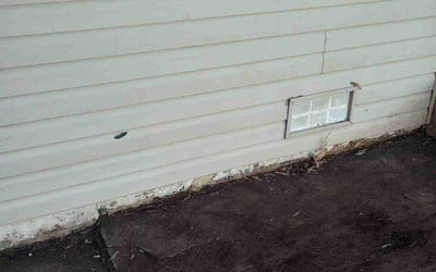 Photo of Cheryl C.'s yard after getting landscaping in Woodbine, MD