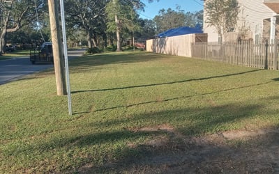 Photo of Scott K.'s yard after getting landscaping in Gonzalez, FL