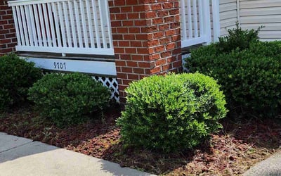 Photo of Andrew L.'s yard after getting landscaping in Goochland, VA