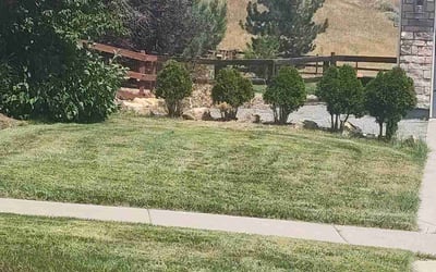 Photo of Mark D.'s yard after getting landscaping in Kiowa, CO