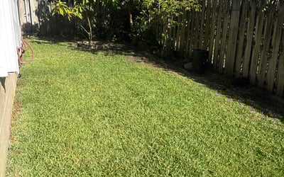 Photo of Mary L.'s yard after getting landscaping in Royal Palm Beach, FL