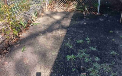 Photo of Mary V.'s yard after getting landscaping in Lorain, OH