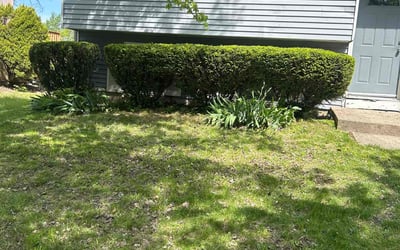 Photo of Deanna D.'s yard after getting landscaping in Pleasant Plain, OH