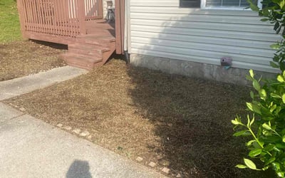 Photo of Jennifer G.'s yard after getting landscaping in Dickson, TN