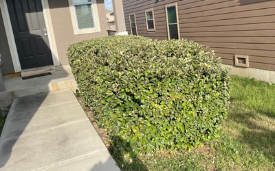 Photo of Chris K.'s yard after getting landscaping in Natalia, TX