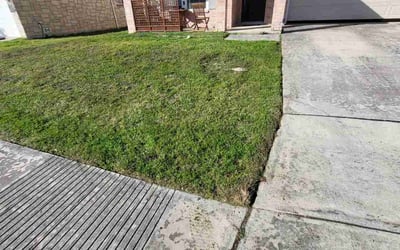 Photo of Megan M.'s yard after getting landscaping in Charlotte, TX