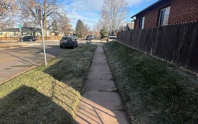 Photo of Laura P.'s yard after getting tree care in Englewood, CO
