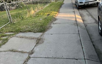 Photo of Lynnette M.'s yard after getting tree care in Carpinteria, CA