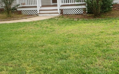 Photo of Matt S.'s yard after getting landscaping in Disputanta, VA